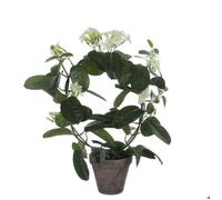 Mica Decorations Fleur artificielle Stephanotis - 40x40x50 cm - Polyester - Blanc