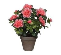 Mica Fleur artificielle Azalée 950331 Orange en pot H27