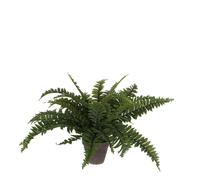 Mica Decorations Fougère Boston plante artificielle dans pot de fleur Stan - H42 x Ø50 cm - Vert