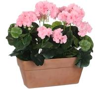 Mica Decorations Géranium Artificielle - L29 x l13 x H40 cm - Rose