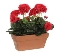 Mica Pot de balcon Géranium Terra Rouge 29 x 13 x 40 cm