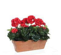 MICA Decorations Géranium Rouge 40