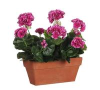 MICA Decorations Geranium Violet dans Un jardinière de Balcon Terra - L 29 x l 13 x H 40 cm
