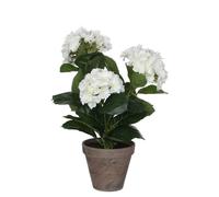Mica Decorations Hortensias Plante artificielle dans un pot de fleurs Stan - H40 x Ø35 cm - Blanc