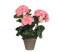 Mica Decorations Hortensias Plante artificielle dans un pot de fleurs Stan - H40 x Ø35 cm - Rose
