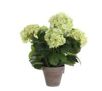 Mica Decorations Hortensias Plante artificielle dans un pot de fleurs Stan - H45 x Ø45 cm - Vert