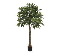 MICA DECORATIONS Pachira in Pot green-h120 x 50 cm Plantes artificielles Multicolore