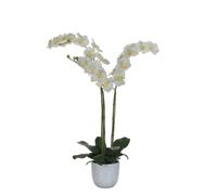 Mica Decorations Phalaenopsis plante artificielle dans un pot de fleurs - L65 x l45 x H72 cm - Blanc