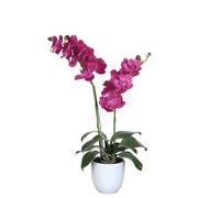 Mica Decorations Phalaenopsis plante artificielle en pot de fleurs - L45 x l28 x H50 cm - Violet