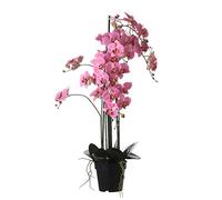 MICA Decorations Phalaenopsis - Plante Artificielle - Rose - H97 cm