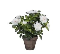 Mica Decorations Plante artificielle Azalea - 20x20x27 cm - Polyester - Blanc