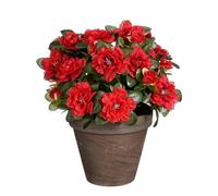 MICA Decorations Plante Artificielle azalée en Pot Ciment - H31 x Ø26 cm - Rouge
