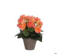 Mica Decorations Plante artificielle Begonia - 25x25x30 cm - Polyester - Rose