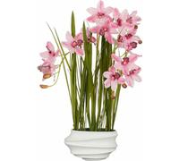 Mica Decorations Plante artificielle Cymbidium - 49x40x81 cm - Polyester - Rose
