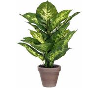 Mica Decorations Plante artificielle Dieffenbachia - 30x30x40 cm - Plastique - Vert