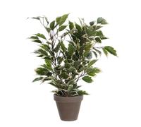 Mica Decorations Plante artificielle ficus natasja - H40 cm - Panaché