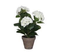 Mica Decorations Plante artificielle hortensia - H40 x Ø35 cm - Blanc