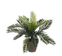 MICA Decorations Plante artificielle Palmier Cycas dans pot de fleurs Stan H33 x Ø34 cm Vert