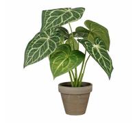 Mica Decorations Plante décorative Caladium Ø 21 x 28 cm Artificielle