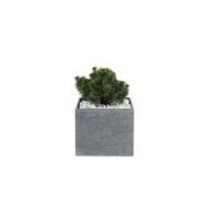 MICA DÉCORATIONS-Pot carré bas Stream S/4 anthracite H.31 cm