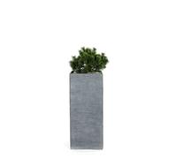 MICA DÉCORATIONS-Pot carré haut Stream S/3 anthracite H.70 cm
