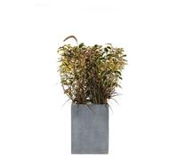 MICA DÉCORATIONS-Pot carré mi-haut Stream coloris anthracite 37x37x50 cm