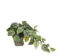 Mica Decorations Scindapsus Plante artificielle dans pot de fleur Stan - H44 x Ø17 cm - Vert