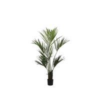 Mica plante artificielle palmier kentia vert, 150 x 90 cm