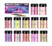 Mica Powder - 250 G | Pigment Powder 12-Bottle | Cosmetic Dye Epoxy Resin Mica Powders For Candle Nail Concrete Clay Ceramics Lip Gloss Paint Dye Crafts