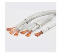 Mica tissant des fils électriques à haute températ Fil chauffant électromagnétique haute température tressé résistant à la chaleur, 2 5 conducteurs, 0, 6 mm, m(2 Cores,13 AWG 2.5mm)
