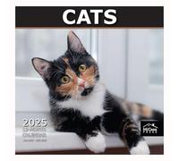 MICASA PRESS Calendrier mural 2025 chats 12 mois | 30,5 x 61 cm ouvert | Papier épais et robuste | Cadeau | Calendrier 2025