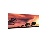 micasia Fond de hotte avec support épaisseur 4mm animaux crédence cuisine avec motif verre trempé panneau mural crédence en verre cuisine 2567 (100x40cm)