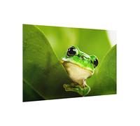 micasia Fond de hotte avec support épaisseur 4mm animaux crédence cuisine grenouille verre trempé panneau mural vert crédence en verre motif cuisine 1483 (90x59cm)