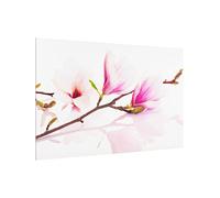 micasia Fond de hotte avec support épaisseur 4mm fleurs crédence cuisine avec motif verre trempé panneau mural rose crédence en verre motif cuisine 2675 (60x40cm)