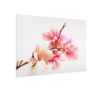 micasia Fond de hotte avec support épaisseur 4mm fleurs crédence cuisine avec motif verre trempé panneau mural rose crédence en verre style maison de campagne cuisine 2361 (80x59cm)