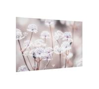 micasia Fond de hotte avec support épaisseur 4mm fleurs crédence cuisine herbes verre trempé panneau mural marron crédence en verre style maison de campagne cuisine 5939 (60x40cm)