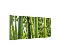 micasia Fond de hotte avec support épaisseur 4mm forêt crédence cuisine plantes verre trempé panneau mural vert crédence en verre style tropical cuisine 1199 (80x40cm)
