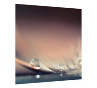 micasia Fond de hotte avec support épaisseur 4mm plumes crédence cuisine avec motif verre trempé panneau mural beige crédence en verre style maison de campagne cuisine 2291 (60x59cm)