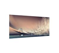 micasia Fond de hotte avec support épaisseur 4mm plumes crédence cuisine avec motif verre trempé panneau mural beige crédence en verre style maison de campagne cuisine 1558 (80x40cm)