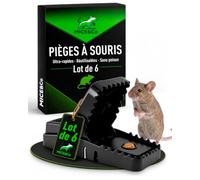 Mice&Co 6 Pièges à Souris | Tapettes Réutilisables sans Poison | Souricière