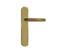 Micel - 05855 Jeu de poignée de porte avec plaque d'angle incurvé et poignée en acier inoxydable, couleur or PVD, 225 x 138 x 66 mm