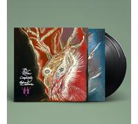 Michael Cashmore – The Snow Abides Completely – Vinyle LP Noir/Coloré
