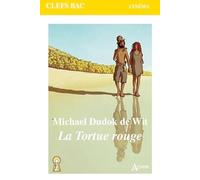 Michael Dudok de Wit La tortue rouge