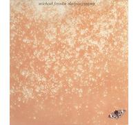 Michael Franks - Sleeping Gypsy LP (Vinyl Album) German Warner Bros 1977