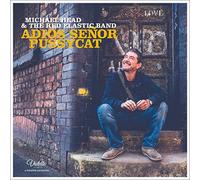 Michael Head & The Red Elastic Band - VIOLET REC Adios Senor Pussycat