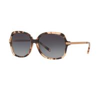 MICHAEL KORS EYEWEAR Lunettes de soleil pour femmes Lunettes de soleil Mk2024 Adrianna II