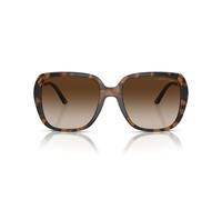 Michael Kors Femme Mk2206 Albany Lunettes de Soleil, Multicolore (Carey Oscuro/Gradient Café), 55 mm