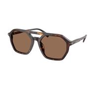 Michael Kors Homme Michael Kors MK2251U JACKSON HOLE 300673 Lunettes de soleil Acétate Tortue Marron Pilote Normale