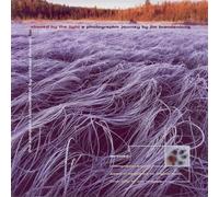 Michael Monroe - An instrumental journey for Chased by the Light (UK Import)