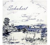 Michael Nuber (Klavier) - F. Schubert: Klaviersonate B-Dur D 960 /// Michael Nuber (Pianist)